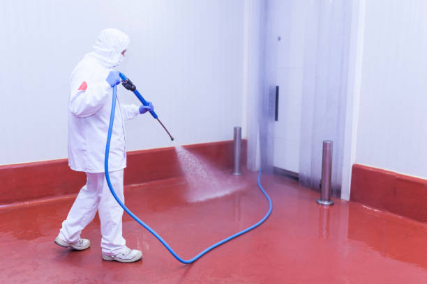 Best Gas Station Cleaning  in Dowagiac, MI