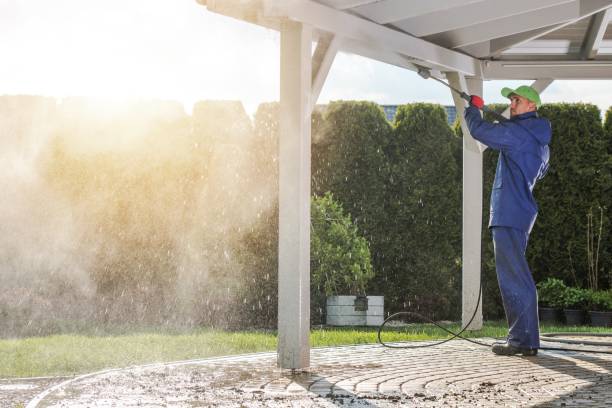 Animal Enclosure Cleaning in Dowagiac, MI