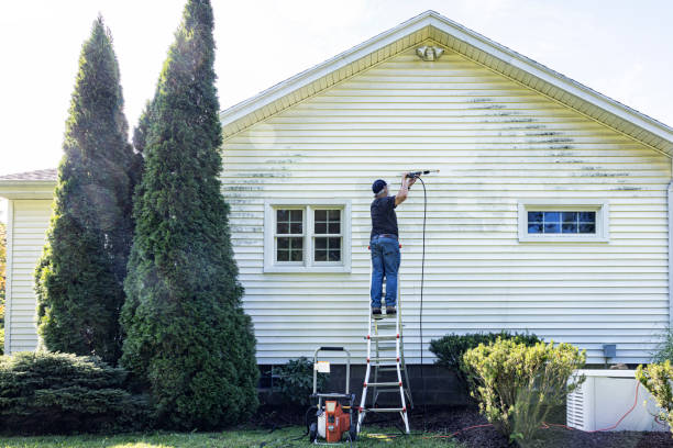 Best Driveway Pressure Washing  in Dowagiac, MI